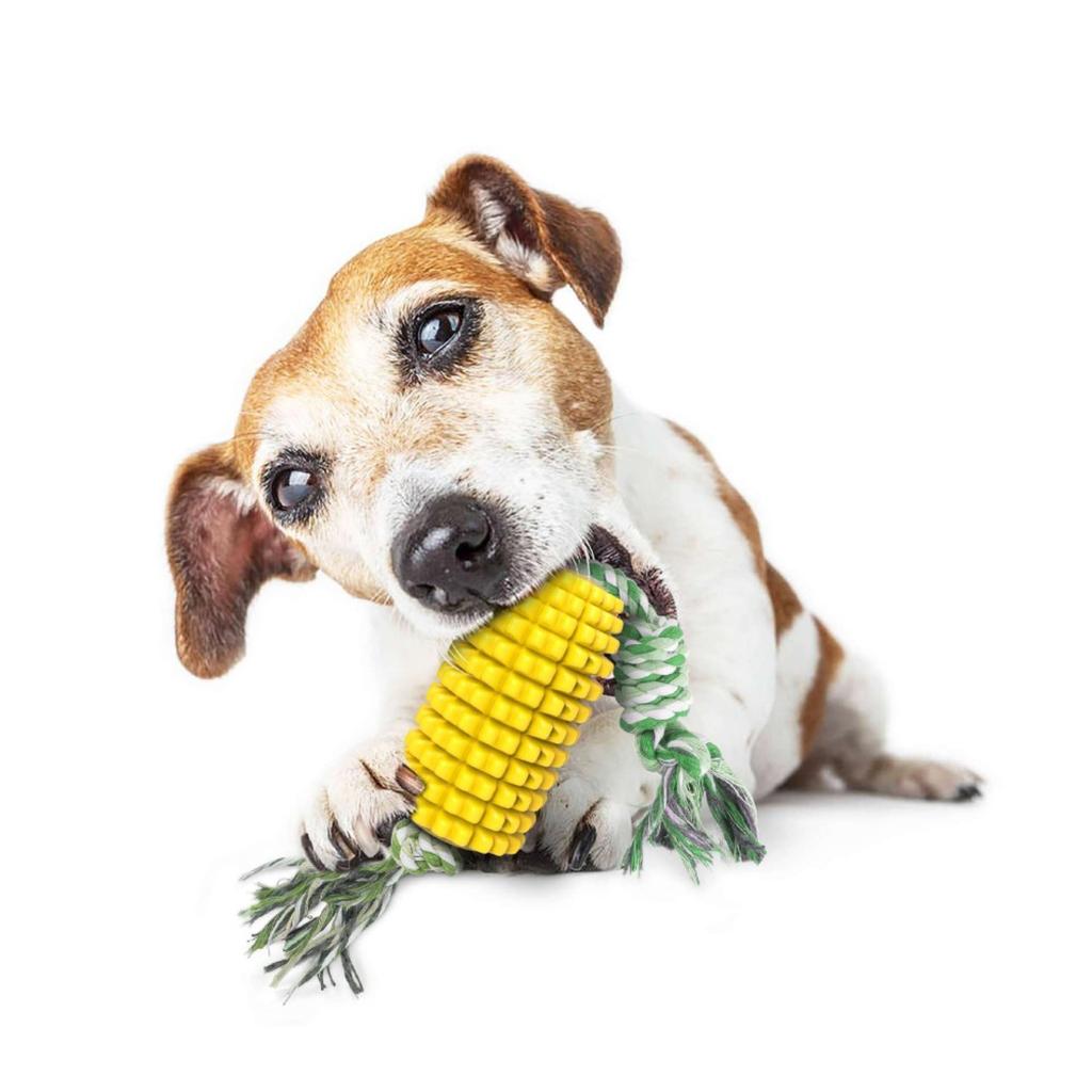 Haustierbedarf Hundespielzeug Zähne Putzstock Zahntragende Zahnbürste Maisgürtel Seil