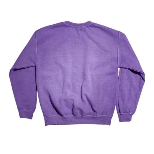 Care Bears Unisex Adult Spooky Pumpkin Vintage Wash Sweatshirt