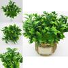 Plastic Citrus Reticulata Blanco Leaf Plant Wall Decor For Garden Landscaping And Indoor Decoration