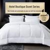 Four Seasons Hotel Bedding Quilt