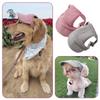 Giyim ve ayakkabı – Köpek için şapkalar