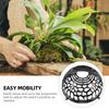 Suspension Ball Phalaenopsis Water Plants Cover Transparent Breathable Floral Soil Air Vent Cover Plastic Detachable Plant Soil