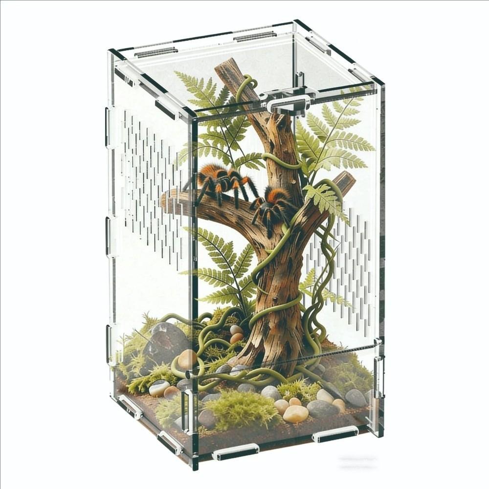 Fecho de Fivela para Terrário de Aranha Saltadora de Acrílico Novo Habitat para Aranha Suprimentos para Animais de Estimação Pequenos