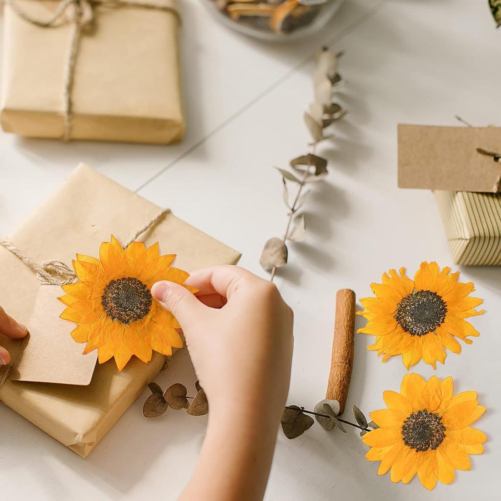 Roowest 24 Pcs Dried Pressed Flowers for Resin Fall Dried Sunflowers Dried Sunflower Petals for Jewelry Candle Soap Making DIY Art Craft Scrapbooking
