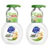 Chao Neng Foam Antibacterial Hand Soap