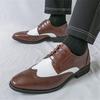 Luxury Designer New Men's Pointed Mixed Color Lace Up Casual Shoes Male Formal Wedding Dress Homecoming Footwear Zapatos Hombre