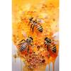 Fresh Bees Collecting Honey And Canned Honey Poster Print Wall Art Pictures Canvas Painting Living Room Bedroom Home Decor Gift
