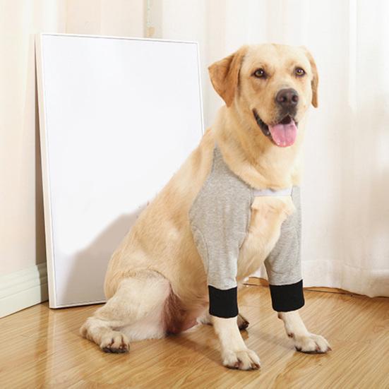 Dog Protector Front Chest Webbing Adjust Buckle Fixed Ring Comfortable Breathable After Injury Tool