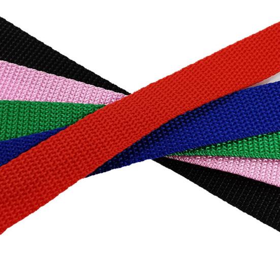 Heavy Duty Dog Leash Pet Walking Lead Scratch-Resistant Dog Training Leash for Large Medium Small Dogs