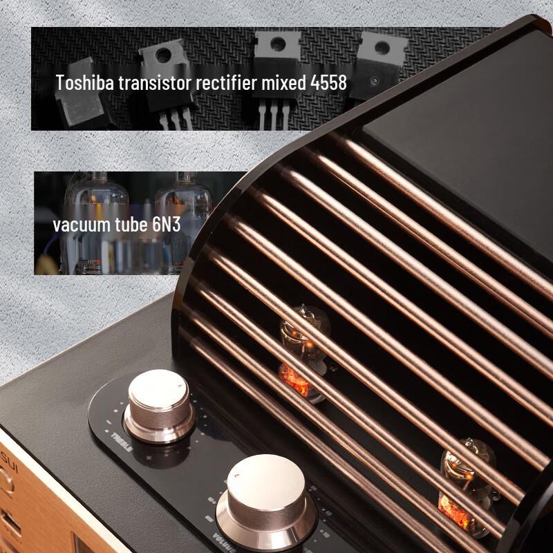 ShanShui M2 HiFi CD/DVD Tube Amplifier System CN Plug (adapter Included)