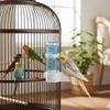 Bird Water Feeder For Parrot Budgie Cockatiel Lovebird Universal Pet Drinking Bottle With Leak Proof Design And Easy Install
