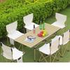 Portable Oxford Cloth Folding Chair & Table Set