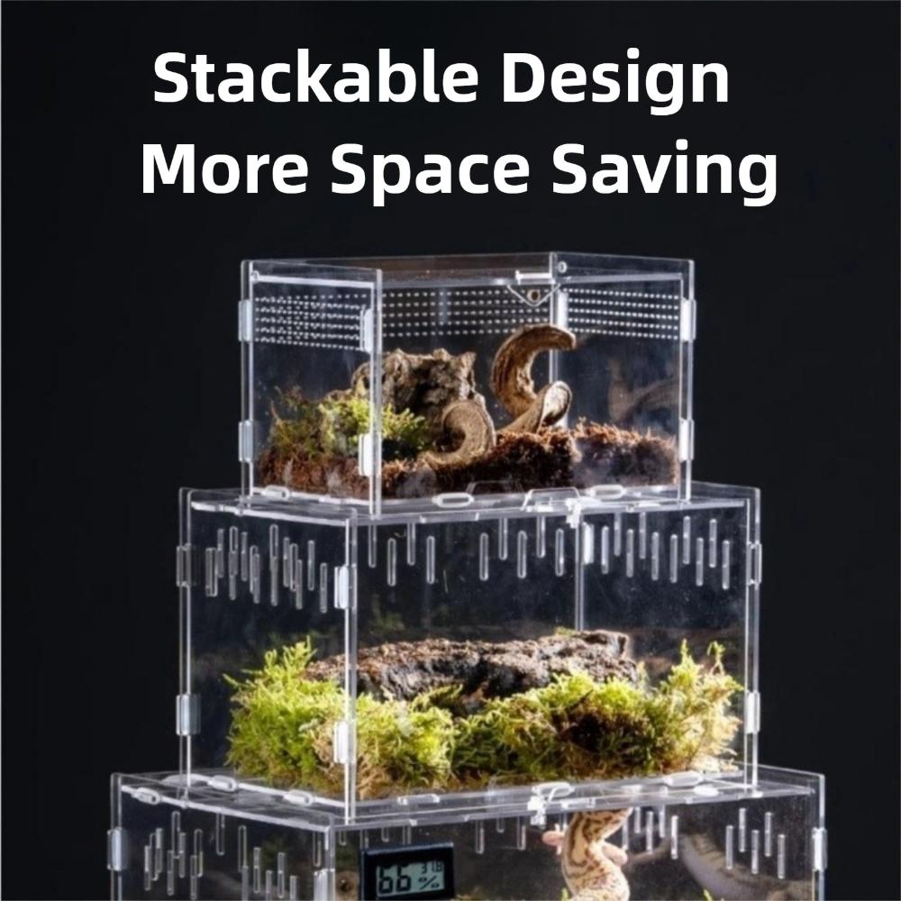 Anti-Escape Reptile Habitat Clear Spider Feeding Case Durable Lizard Breeding Box  for Chameleon
