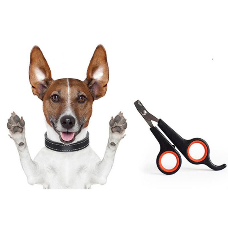 Tagliaunghie per cani tagliaunghie tagliaunghie testa affilata in acciaio inossidabile cucciolo articoli per animali domestici