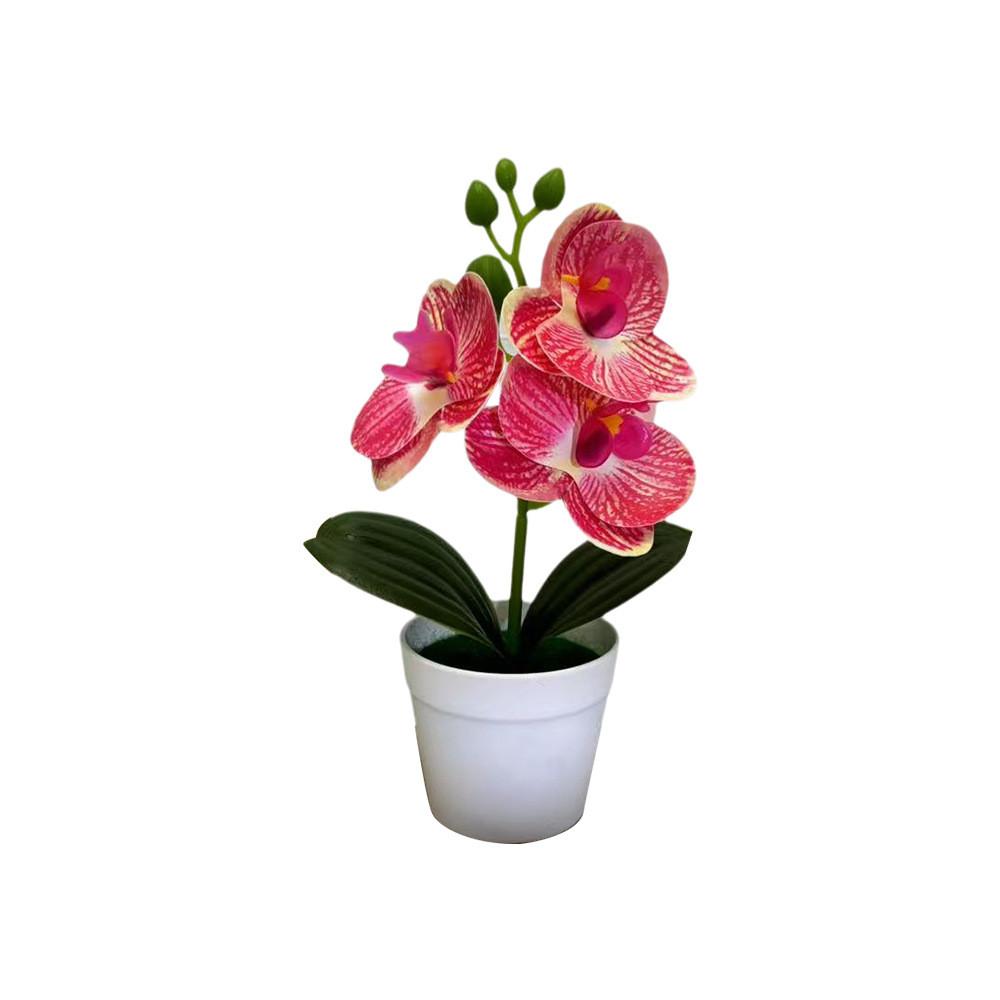 Botanical Phalaenopsis Faux Fake Flower Props For Bridal Events And Party Decor