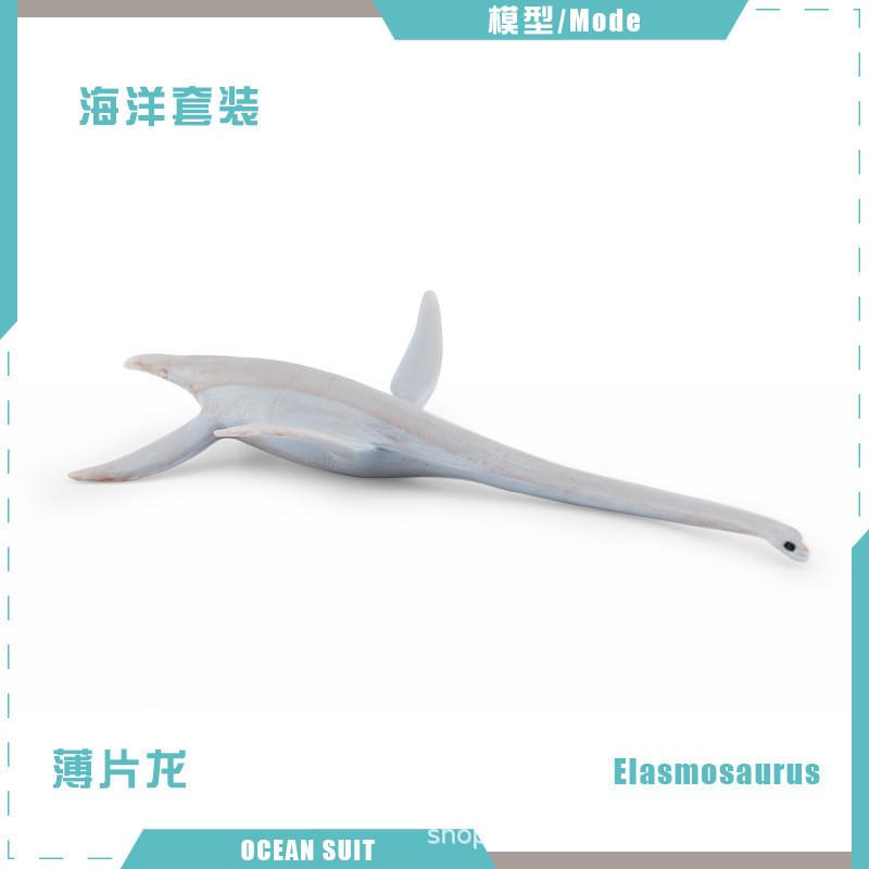 Zestaw modeli zwierząt oceanicznych premium z PVC, w tym rekiny, żółwie, delfiny, pingwiny i kraby do zabawy edukacyjnej