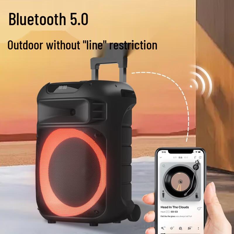 Philips SD189 Portable Outdoor Bluetooth Speaker with Handheld Mic CN plug (adapter included) (CN version)