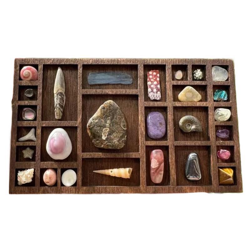 Miniature Wooden Display Shelf Rock Display Case Storage Organizer for Collectibles Mineral Crystal Mounted Rock Collection Box