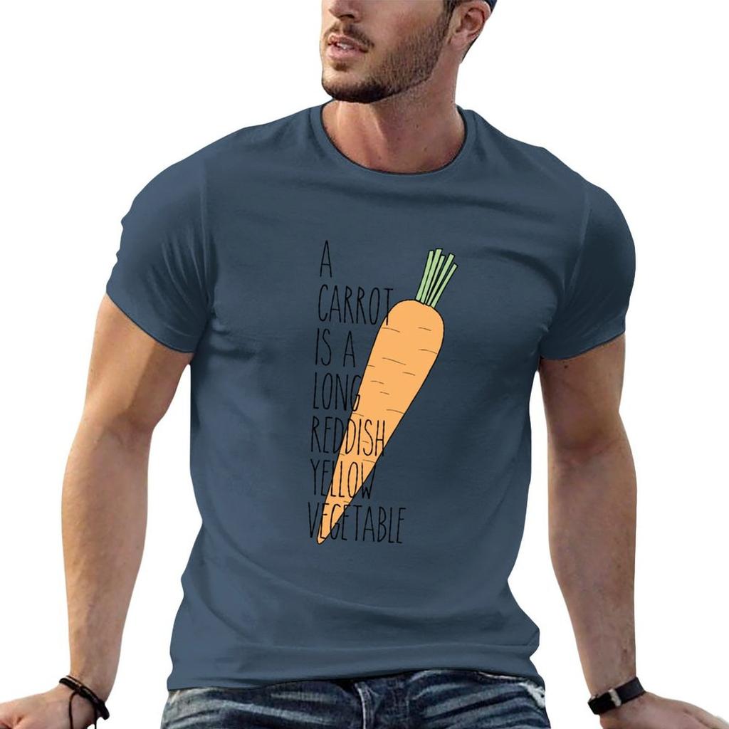 Audiology Carrot Passage TShirt Festival Short Sleeve TShirt