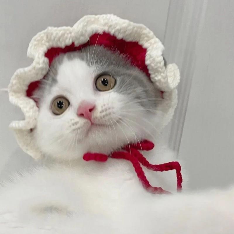 Autumn Winter Cat Hat Elastic Cute Refined Pet Hat Puppy Kittens Knitted Hat Party Photo Shoot Props Decoration Cat Accessories