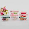 Miniature Display Box With Secure Lid For Accessories Craft Projects And Collectible Storage