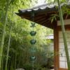 Hummingbird Rain Chain Hummingbird Cups Rain Chain for Gutter Eaves Drainage Outdoor Decoration Adjustment Catcher Chain