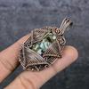 Natural Zebra Jasper Gemstone Copper Wire Wrap Gift Jewelry Pendant 2.56" i7F96