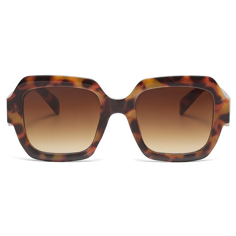 Nowe nieregularne koreańskie modne okulary przeciwsłoneczne Europejskie i amerykańskie dwukolorowe okulary przeciwsłoneczne z nadrukiem lamparta Duże oprawki Szerokie nogawki Okulary przeciwsłoneczne Cat Eye