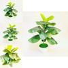 Ficus Pandurata Hance Künstliche Pflanze Mit Plastikblättern Für Heimdekoration Und Geschenk