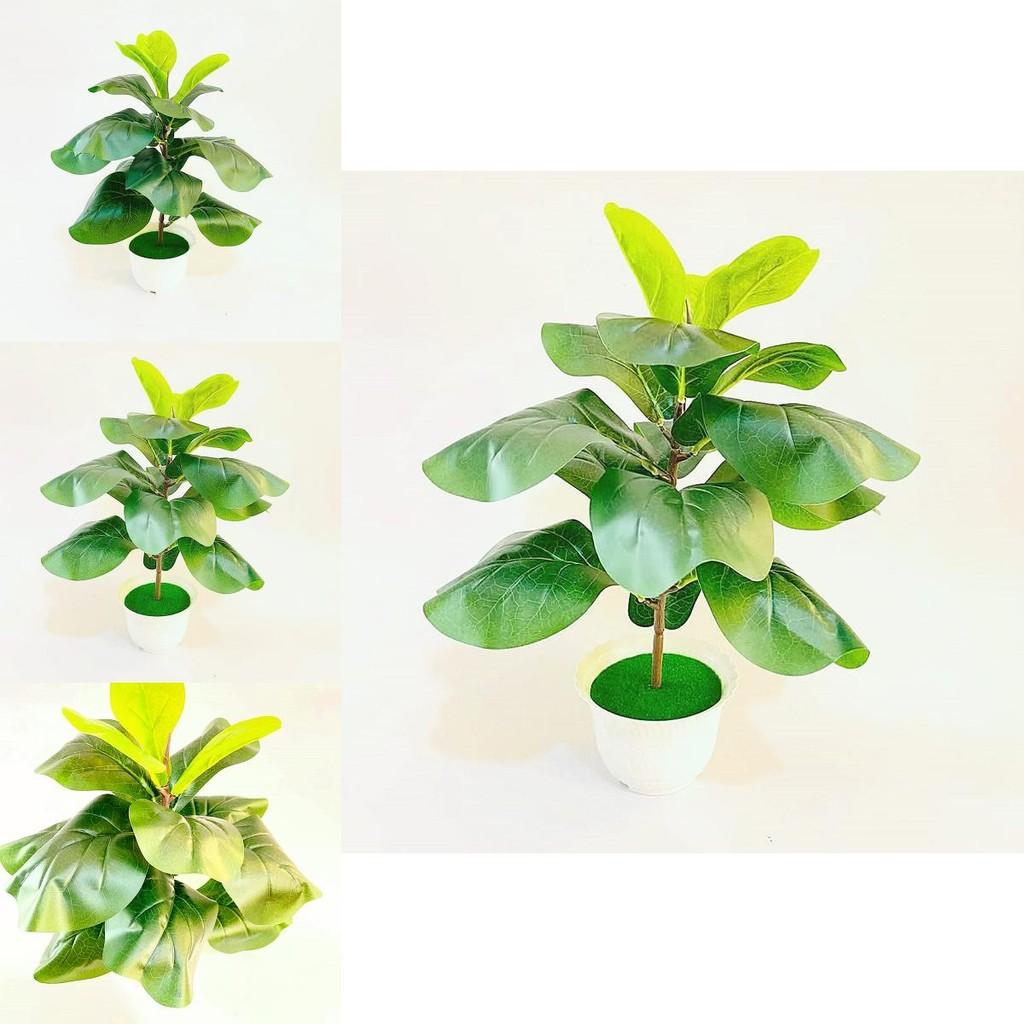 Ficus Pandurata Hance Künstliche Pflanze Mit Plastikblättern Für Heimdekoration Und Geschenk