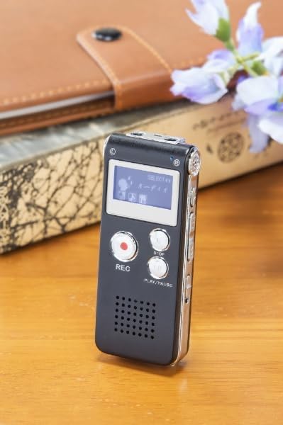 Family voice recorder for just easy small digital voice conversation voice voice memo easy to easy voice recorder for the no batteries required