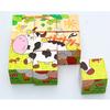 Wooden Six Sided Block Puzzle Early Learning Toy HandEye Coordination Sensory Training Educational Toy Three Dimensional Puzzle