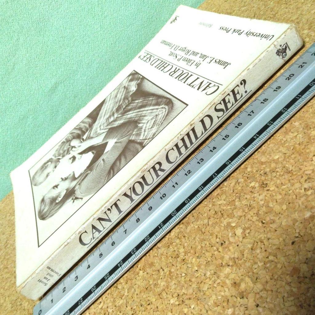 [USED] Foreign Books: CAN'T YOUR CHILD SEE? A Guide to Supporting Visually Impaired Children