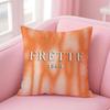 Classic Minimalism FREITAGF Cushion Cover Pillow Case Soft Skin Friendly Fabric  Concealed Zipper