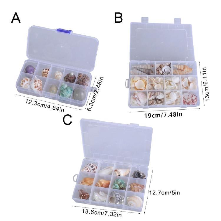 Floating Seashells Display Box Large-capacity Seashells Decorative Storage Box for Home and Beach Decoration