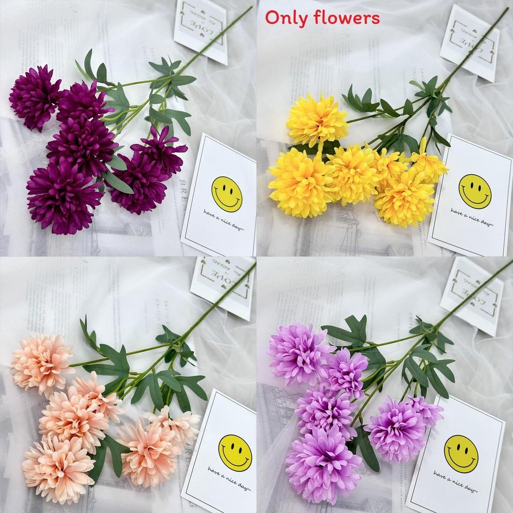 Realistic Fake Epaltes Australis Arrangement For Diy Home Decoration And Photography Props