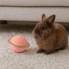 Moisture-Proof Pet Urn Removable Lid Pet Ash Holder Pet Hair Collection Box  for Cats Dogs Hamster