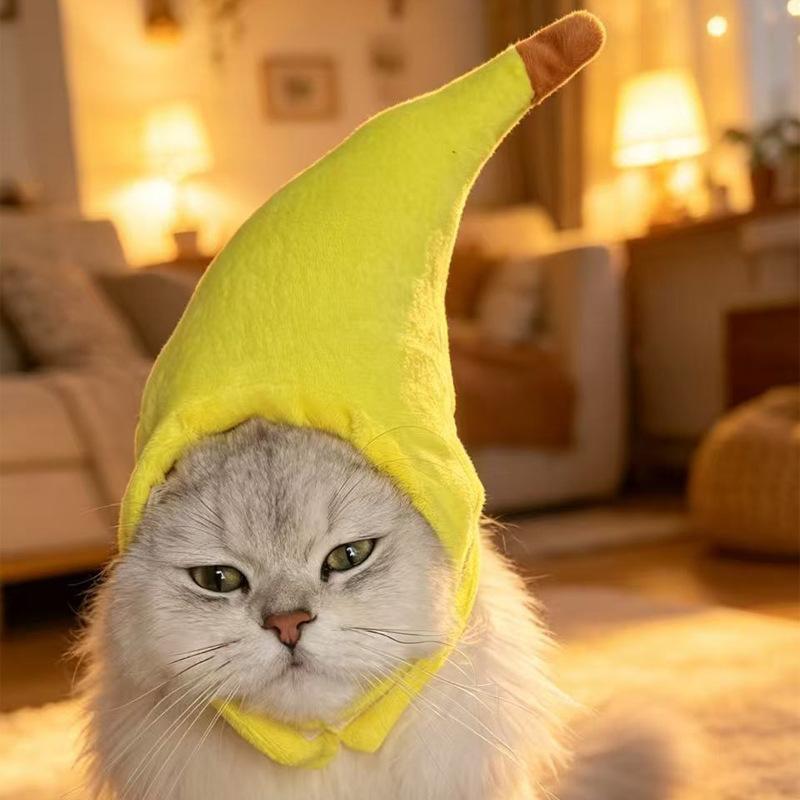 Maltese white goose hood Taiyaki cat hood pet hat small dog cute funny hat