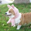 Plush Pet Hat for Ear and Head Protections Halloween Funny Ear Dog Hat for Small Dogs Cats Warm Winter Headgear Hat