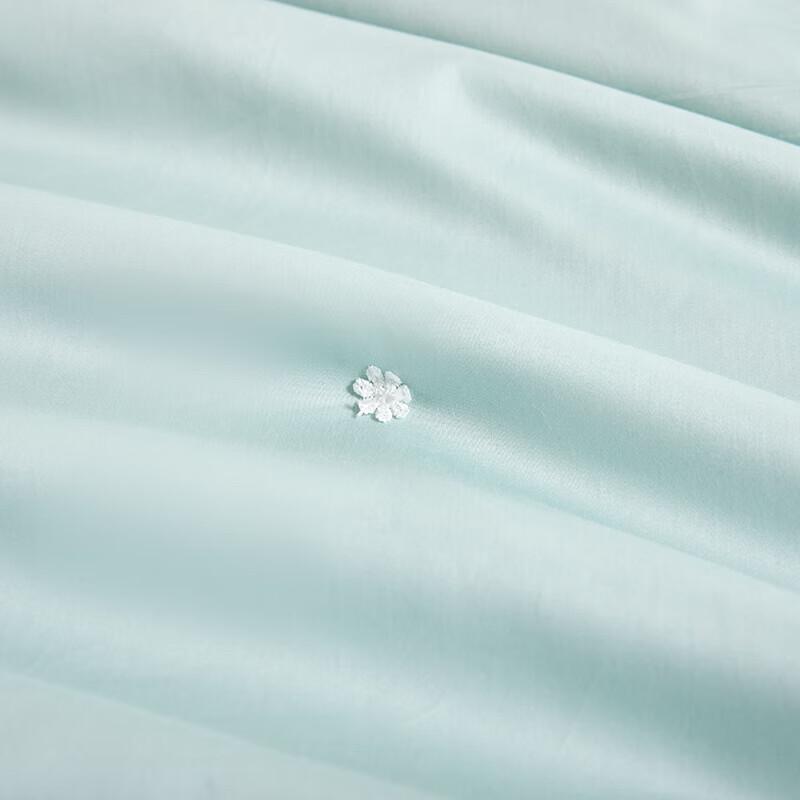 ZMN French Embroidered 100% Mulberry Silk All-Season Quilt