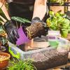 8 pièces Pots de Fleurs Pots à Fleurs Cadeaux de Jardinage Pot en Plastique pour Plantes Pépinière Pot pour Succulentes Jardinières pour Plantes d'Intérieur Petits Pots de Fleurs Jolis Pots de Fleurs
