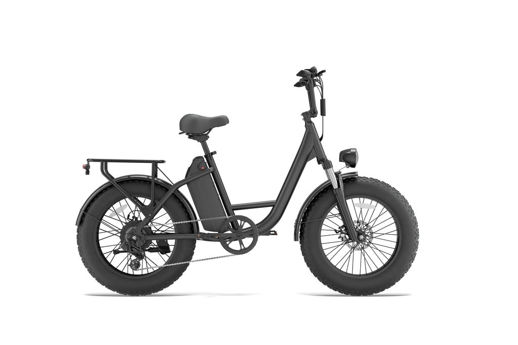 URLIFE E20 PRO Adult Electric Bike 1500W High-Power Motor 48V 15.6AH Battery 20*4.0 Inch Fat Tires for Off-Road & Urban Rides
