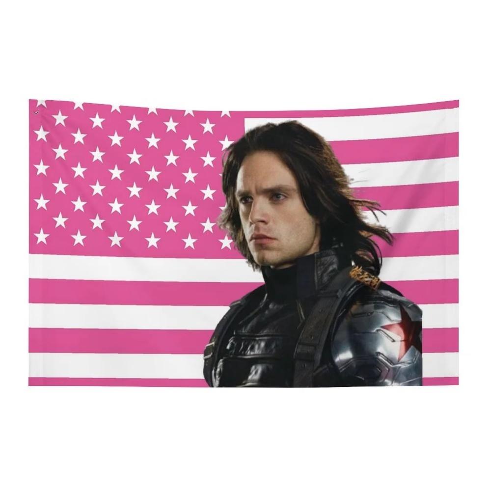 

1 шт. Себастьян Стэн Смешные флаги для спален Предметы домашнего декора Пользовательский флаг на стене Наружные украшения Комната Y2k Гобелен 29x37in