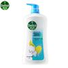 Dettol Mint Cool Body Wash