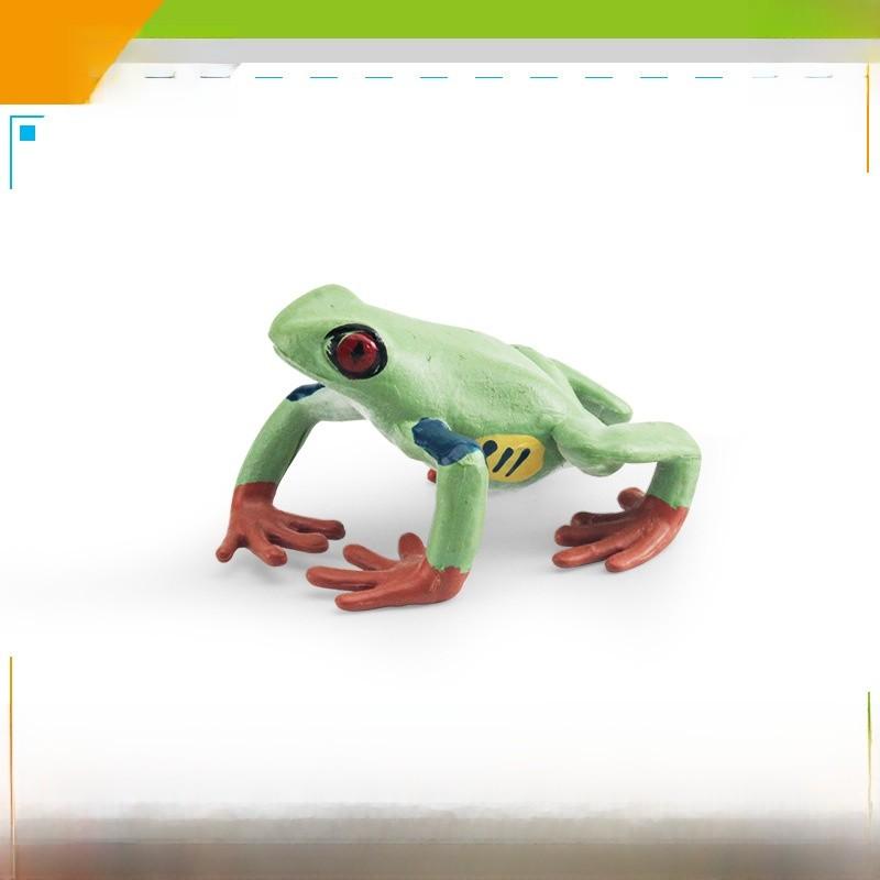 Wildlife Pvc Animal Models With Realistic Frog Collection For Children Educational Decor