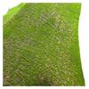 Hao Gong Bang Artificial Moss Wall Grass Mat