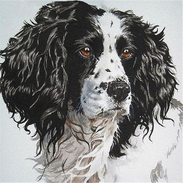 5d Diamond Painting Butterfly Full Round Drill Diamond Mosaic Animal Cross Stitch