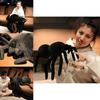 Spider Plush Toy Dark Series Cartoon Style Perfect Gift For Boys