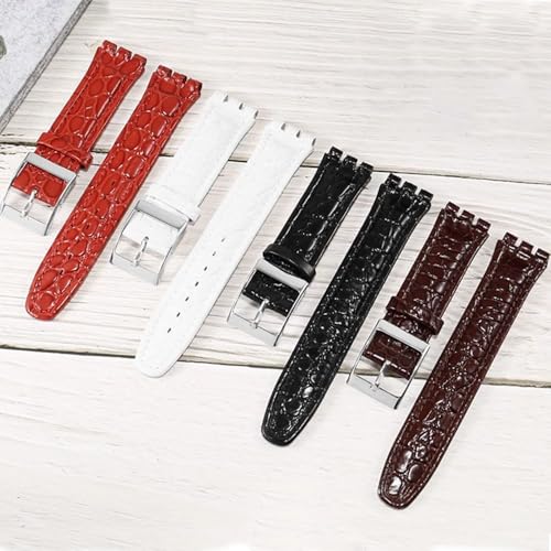 ZHUOLEI Replacement Watch Strap for Swatch, 17mm (Includes 3 Spring Bars, Spring Bar Remover, and Box)