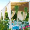 Künstliche Pflanze Kunststoff Eukalyptus Kamelie Hochzeit Garten Hof Kranz Zuhause Vase Außen Festival Party DIY Geschenkbox Deko